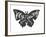 Butterfly Lettering Poster-zapolzun-Framed Art Print