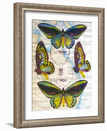 Butterfly Map III-John Butler-Framed Art Print
