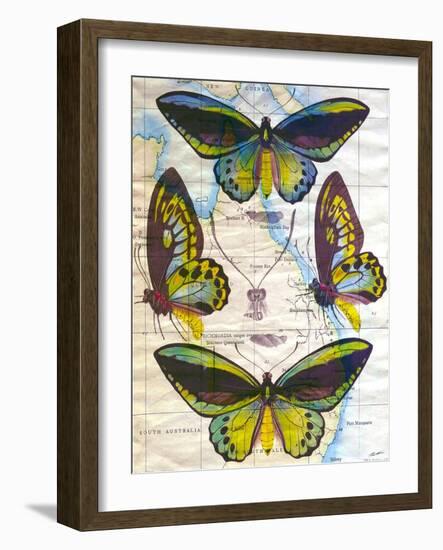 Butterfly Map III-John Butler-Framed Art Print