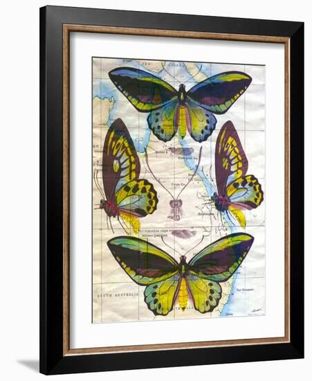 Butterfly Map III-John Butler-Framed Art Print