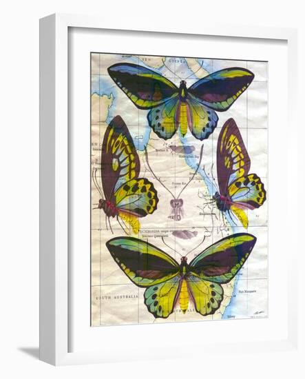 Butterfly Map III-John Butler-Framed Art Print