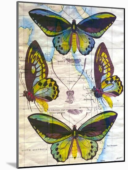 Butterfly Map III-John Butler-Mounted Art Print