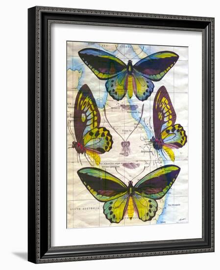 Butterfly Map III-John Butler-Framed Art Print