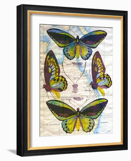 Butterfly Map III-John Butler-Framed Art Print