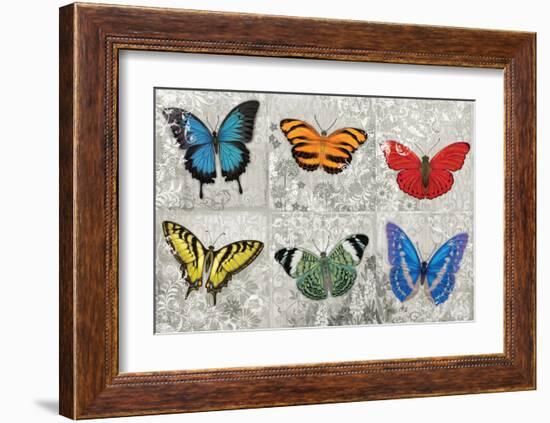 Butterfly Mural-Alan Hopfensperger-Framed Art Print