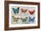 Butterfly Mural-Alan Hopfensperger-Framed Art Print