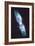 Butterfly Nebula-null-Framed Premium Giclee Print