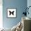 Butterfly Noir-Assaf Frank-Framed Giclee Print displayed on a wall