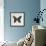 Butterfly Numbers-Morgan Yamada-Framed Art Print displayed on a wall