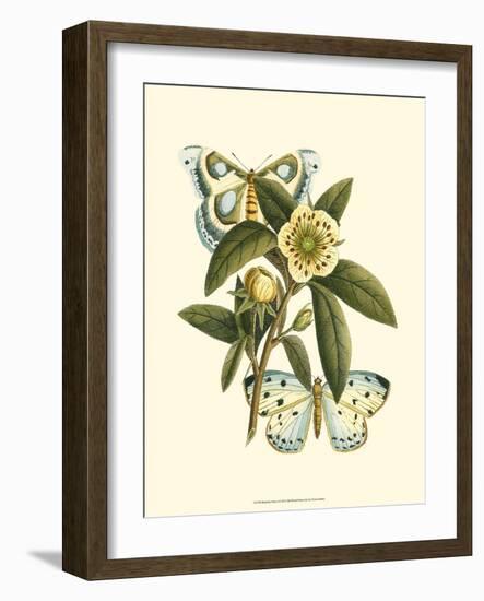 Butterfly Oasis I-null-Framed Premium Giclee Print