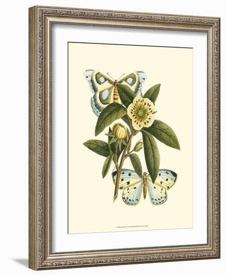 Butterfly Oasis I-null-Framed Art Print