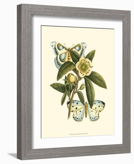 Butterfly Oasis I-null-Framed Art Print