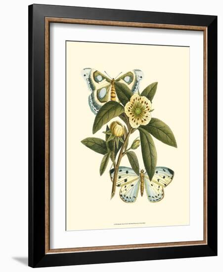 Butterfly Oasis I-null-Framed Art Print