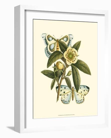 Butterfly Oasis I-null-Framed Art Print