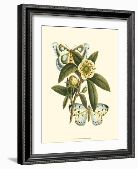 Butterfly Oasis I-null-Framed Art Print