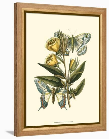 Butterfly Oasis II-null-Framed Stretched Canvas