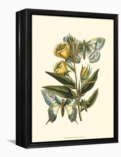 Butterfly Oasis II-null-Framed Stretched Canvas