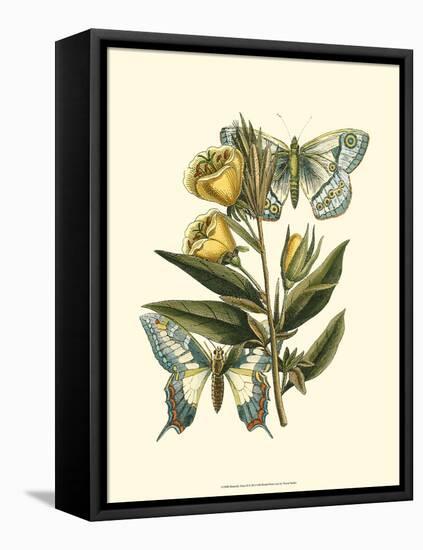 Butterfly Oasis II-null-Framed Stretched Canvas