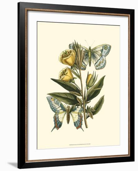 Butterfly Oasis II-null-Framed Art Print