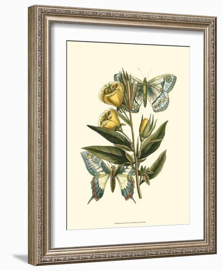 Butterfly Oasis II-null-Framed Art Print