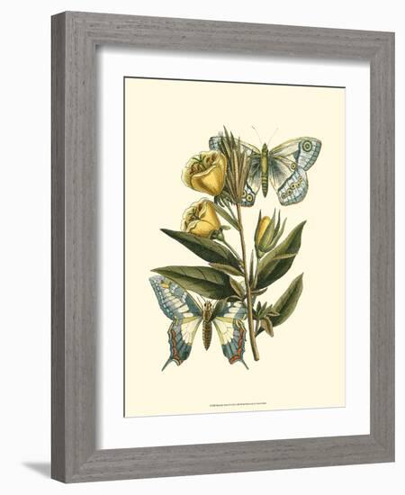 Butterfly Oasis II-null-Framed Art Print