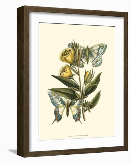 Butterfly Oasis II-null-Framed Art Print