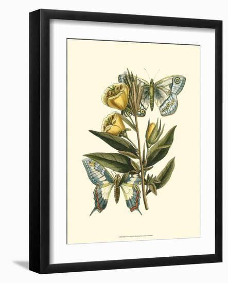 Butterfly Oasis II-null-Framed Art Print