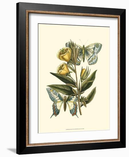 Butterfly Oasis II--Framed Art Print