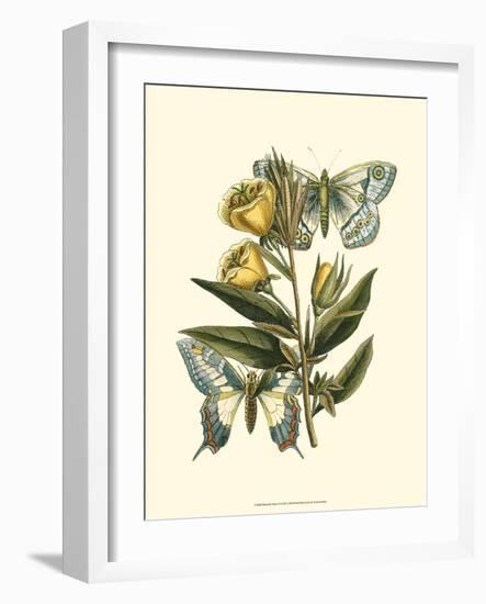 Butterfly Oasis II-null-Framed Art Print