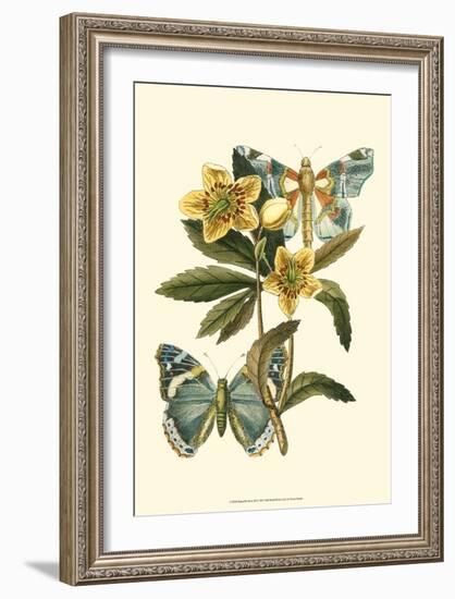 Butterfly Oasis III-null-Framed Art Print