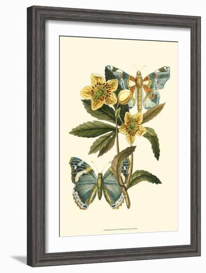 Butterfly Oasis III-null-Framed Art Print
