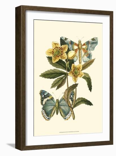 Butterfly Oasis III-null-Framed Art Print