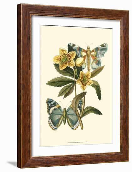 Butterfly Oasis III-null-Framed Art Print