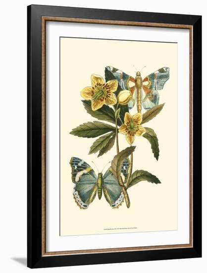 Butterfly Oasis III-null-Framed Art Print