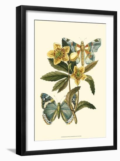 Butterfly Oasis III-null-Framed Art Print