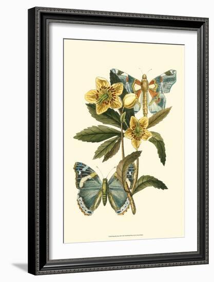 Butterfly Oasis III-null-Framed Art Print