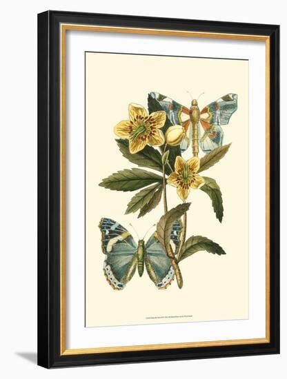 Butterfly Oasis III-null-Framed Art Print