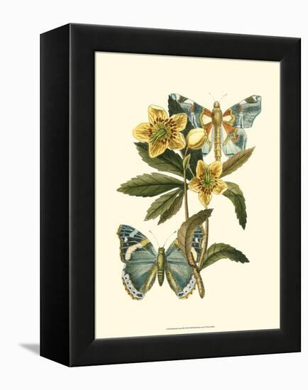 Butterfly Oasis III-null-Framed Stretched Canvas