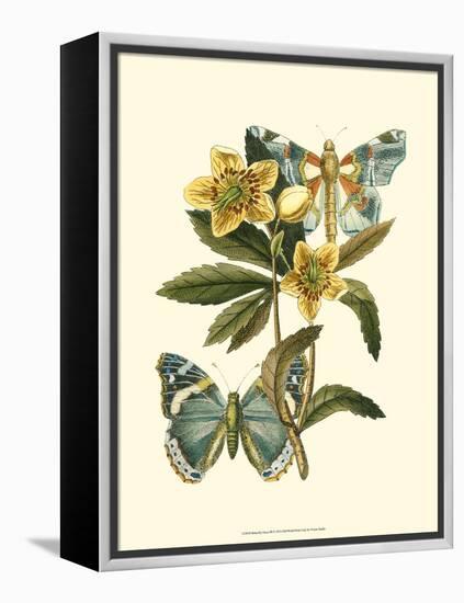Butterfly Oasis III-null-Framed Stretched Canvas