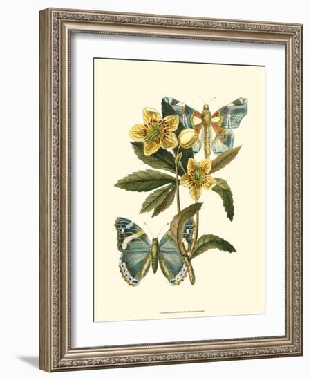 Butterfly Oasis III-null-Framed Premium Giclee Print