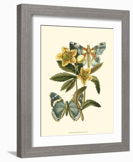 Butterfly Oasis III-null-Framed Premium Giclee Print