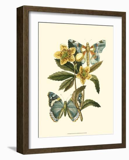 Butterfly Oasis III-null-Framed Premium Giclee Print