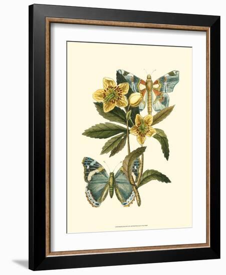 Butterfly Oasis III-null-Framed Premium Giclee Print