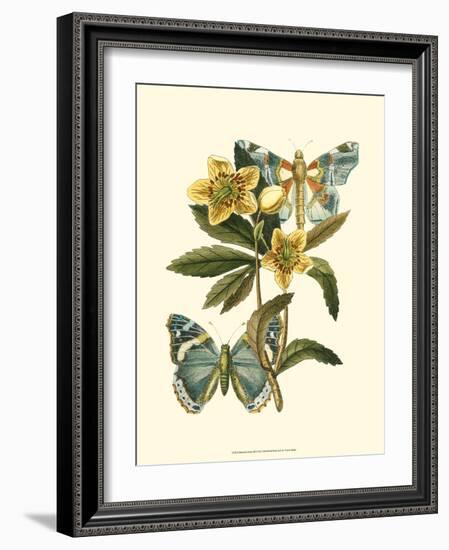 Butterfly Oasis III-null-Framed Premium Giclee Print