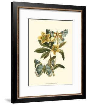 Butterfly Oasis III-null-Framed Art Print