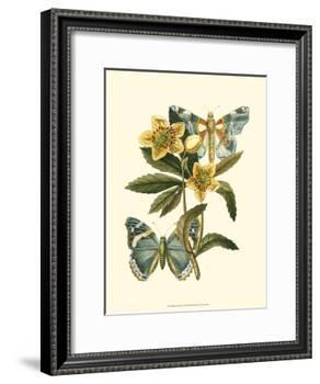 Butterfly Oasis III-null-Framed Art Print
