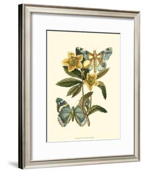 Butterfly Oasis III-null-Framed Art Print
