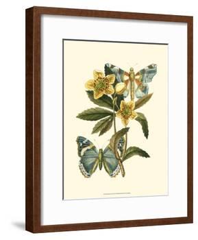 Butterfly Oasis III-null-Framed Art Print