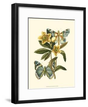Butterfly Oasis III-null-Framed Art Print