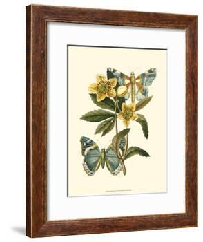 Butterfly Oasis III-null-Framed Art Print